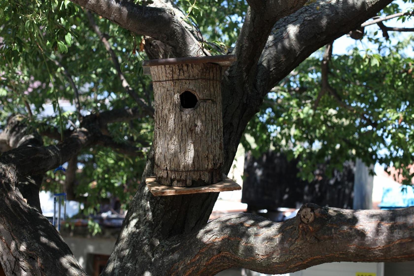 Guest House Drazhev ออบซอร์ ภายนอก รูปภาพ