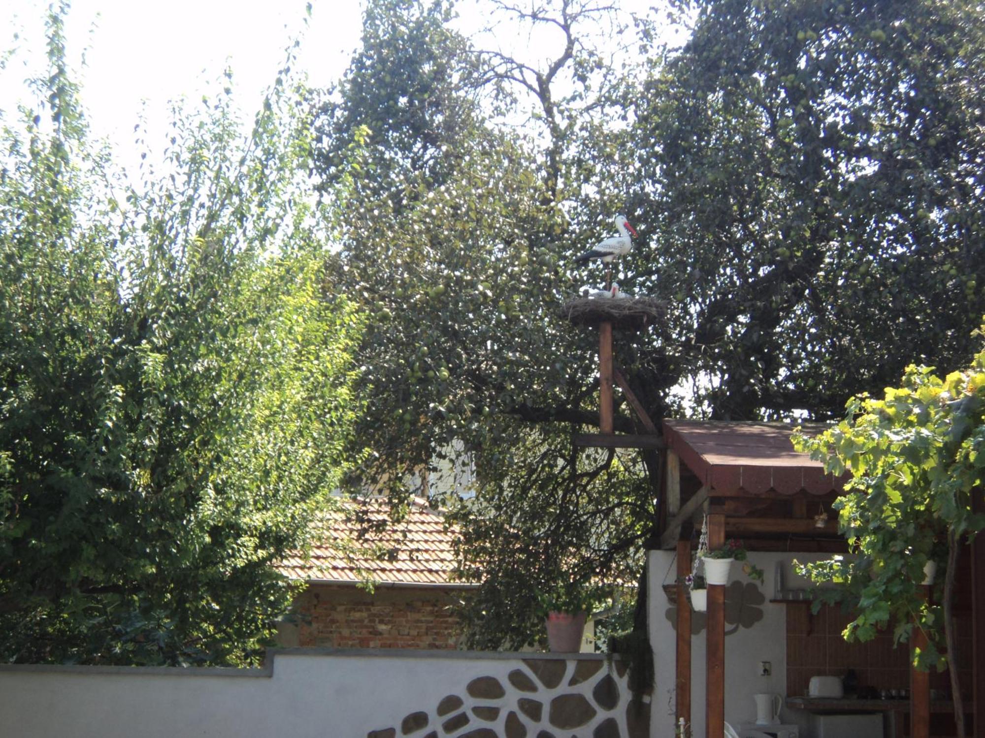 Guest House Drazhev ออบซอร์ ภายนอก รูปภาพ